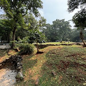 Komodo Dragon Complex - wow!