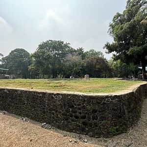 Asian Elephant Exhibit #2
