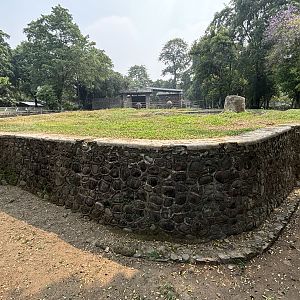 Asian Elephant Exhibit #2