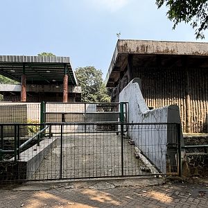 Asian Elephant Barns x 2