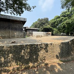 Asian Elephant Exhibit #3