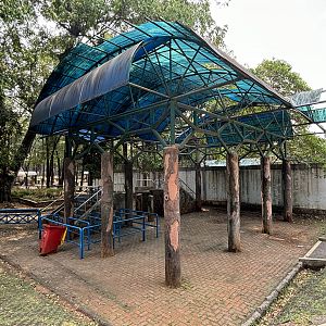 Asian Elephant Rides - not in use