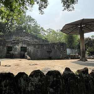 Asian Elephant Exhibit #5