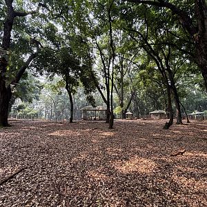 Sitatunga Exhibit - enormous!