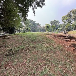 Asian Water Monitor Exhibit