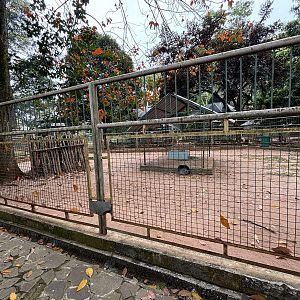 Sitatunga Exhibit #2