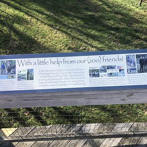 interpretive paying tribute to the many AZA Zoos that helped us recover from Hurricane Helene