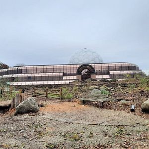 Primate Forest Construction 11/25