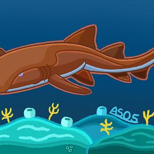 Nurse Shark (Remastered 2024)