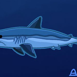 Shortfin Mako Shark (Remastered 2024)