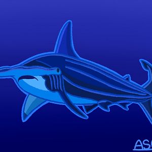 Scalloped Hammerhead (Remastered 2024)