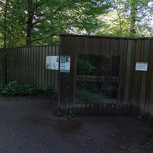 Tawny owl enclosure