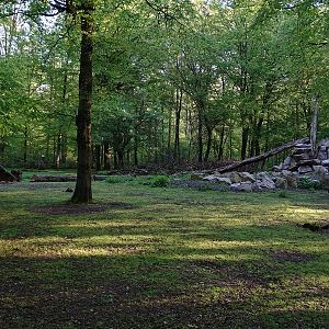 Rocky Mountain goat enclosure