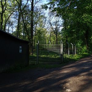 Forest reindeer enclosure