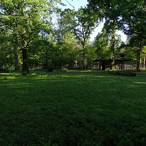 Bactian camel enclosure