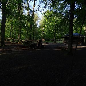 Alpine chamois enclosure