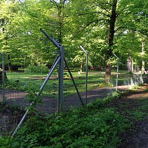 Persian gazelle enclosure