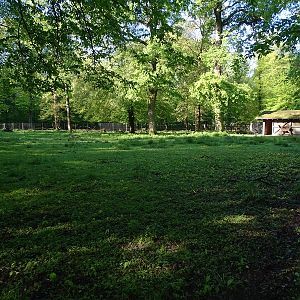 White-lipped deer enclosure
