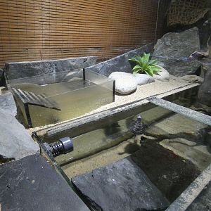 Diamondback terrapin enclosure