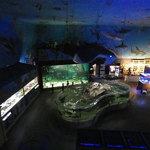 View over aquarium