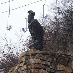 Andean condor statue
