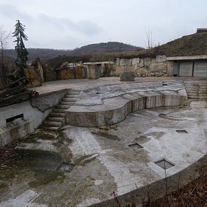 Hippo outdoor enclosure with empty pool