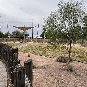 African Elephant Exhibit