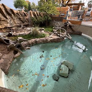 empty otter enclosure