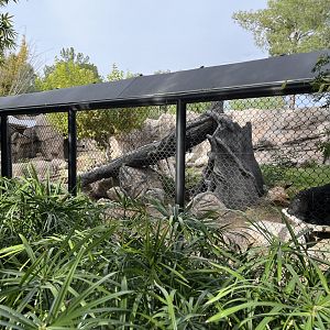 andean bear enclosure