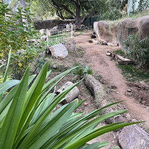 anteater exhibit