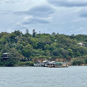 Taronga Zoo - View from Ferry