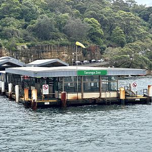 Taronga Zoo - Ferry Terminal