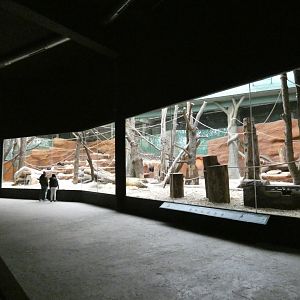 Gorilla indoor enclosure