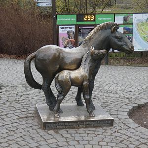 Przewalski's horse statue