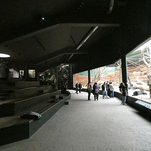 Gorilla indoor viewing area