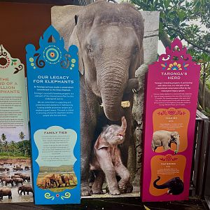 Asian Elephant Signage