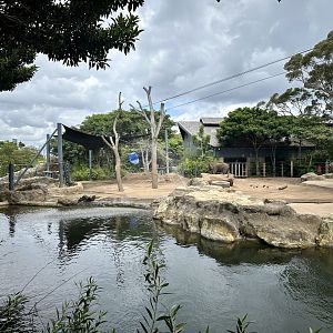 Asian Elephant Exhibit