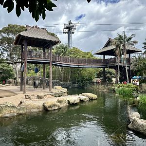 Asian Elephant Exhibit