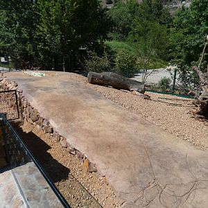 Indian crested porcupine outdoor enclosure