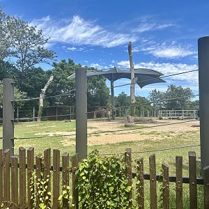 Old Bull Elephant Exhibit