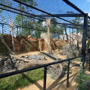 Pallas's cat enclosure