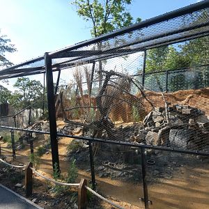 Pallas's cat enclosure
