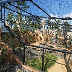 Pallas's cat enclosure sideview