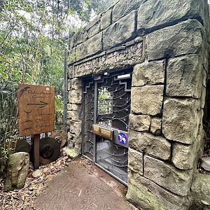 Palm Aviary Entrance
