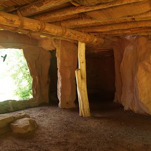 African lion viewing area, 2007-07-15