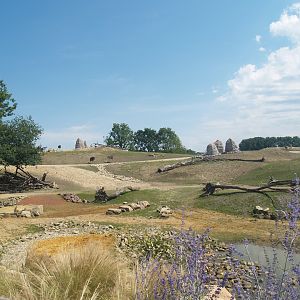 Grass savanna exhibit, 2007-07-15