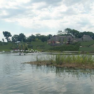 Boat safari - Area with pelicans, flamingos and cormorants (Now gone), 2007-07-15