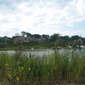 Boat safari - Area with pelicans, flamingos and cormorants (Now gone), 2007-07-15