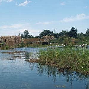 Boat safari - Area with pelicans, flamingos and cormorants (Now gone), 2007-07-15