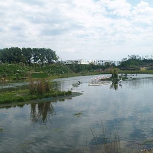 Boat safari - Area with pelicans, flamingos and cormorants (Now gone), 2007-07-15